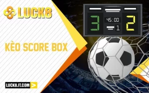 Tìm Hiểu Kèo Score Box Và Soi Kèo Chuẩn Xác Mùa Euro