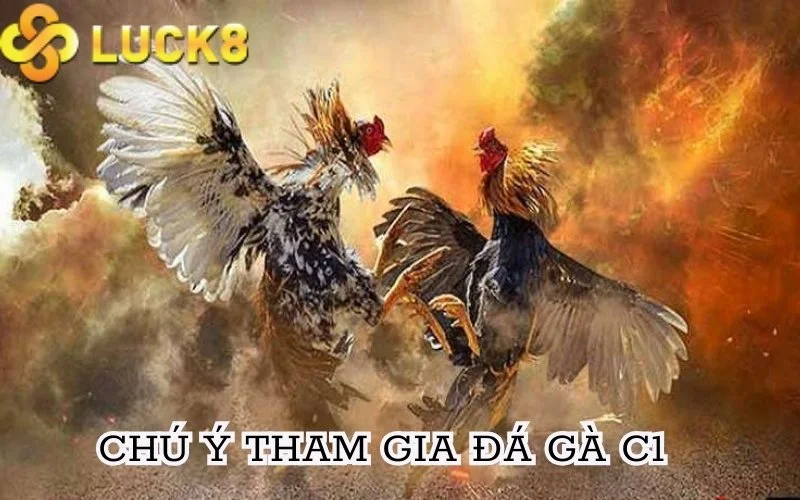 Điểm qua những chú ý quan trọng tham gia đá gà giải đấu c1